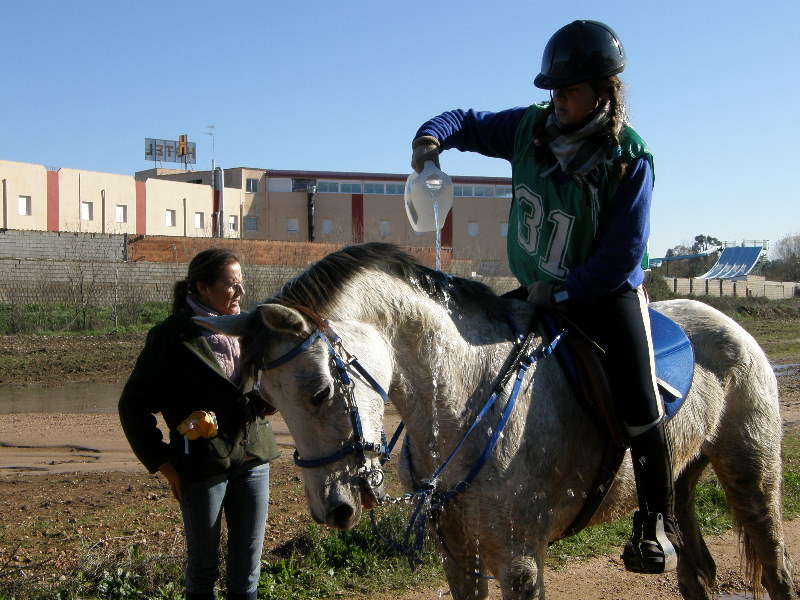 SHL Badajoz 053.jpg