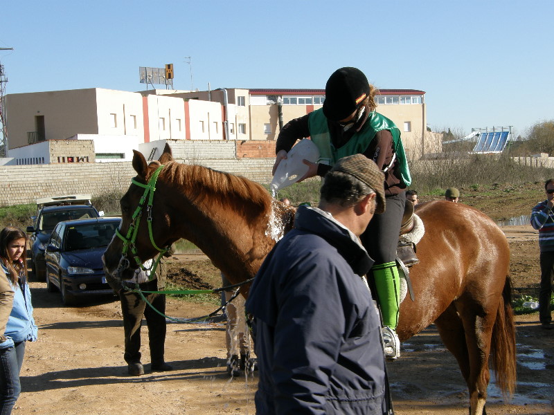 SHL Badajoz 073.jpg