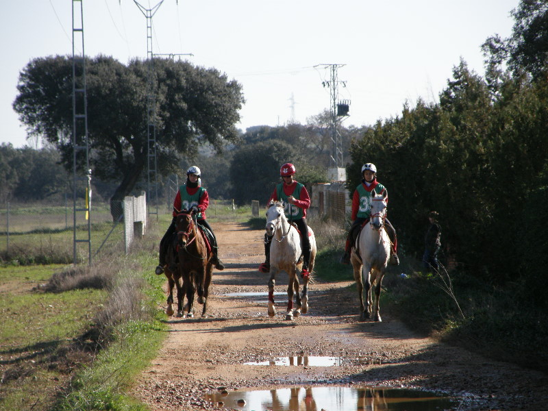 SHL Badajoz 074.jpg