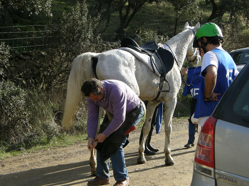 Nogales 036.jpg