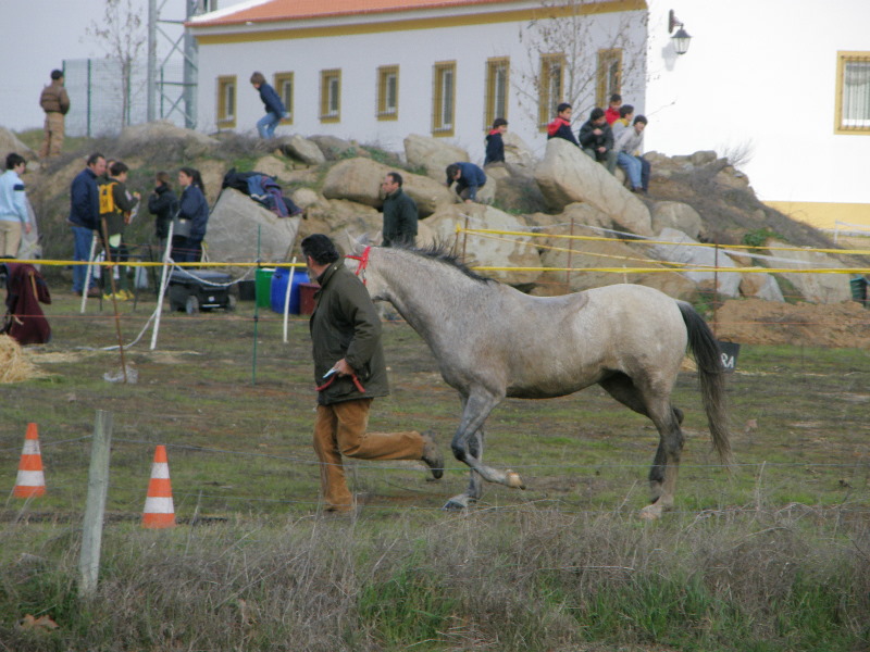 Santa Eulalia 32.jpg