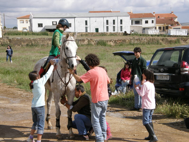 Caceres 066.jpg