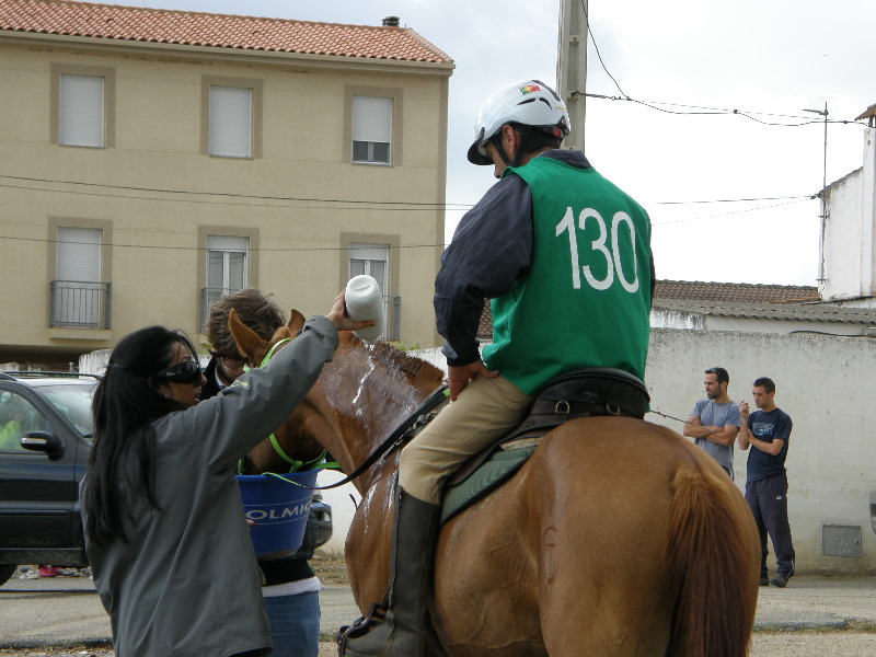 Caceres 077.jpg