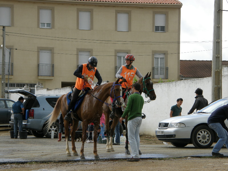 Caceres 078.jpg