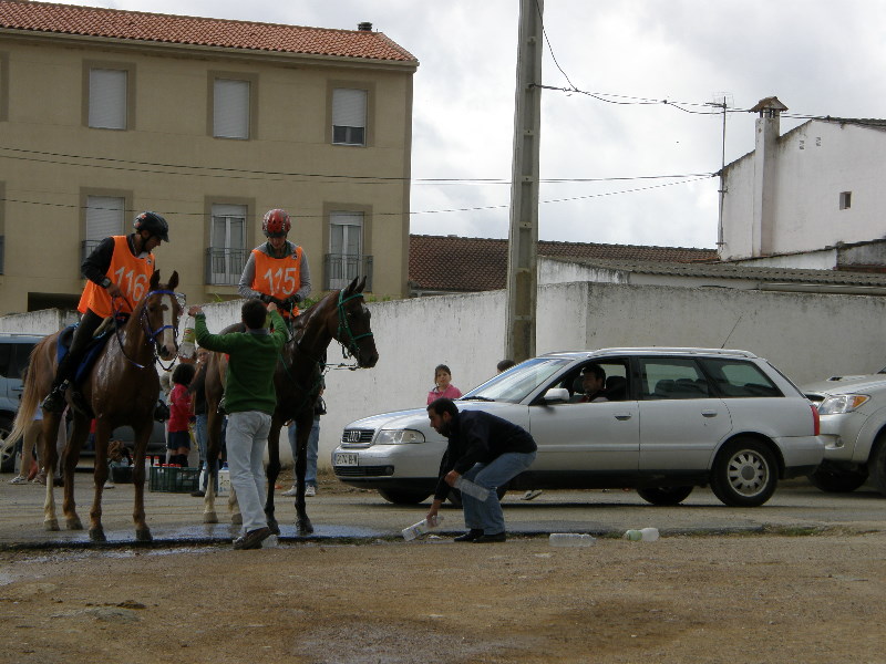 Caceres 079.jpg