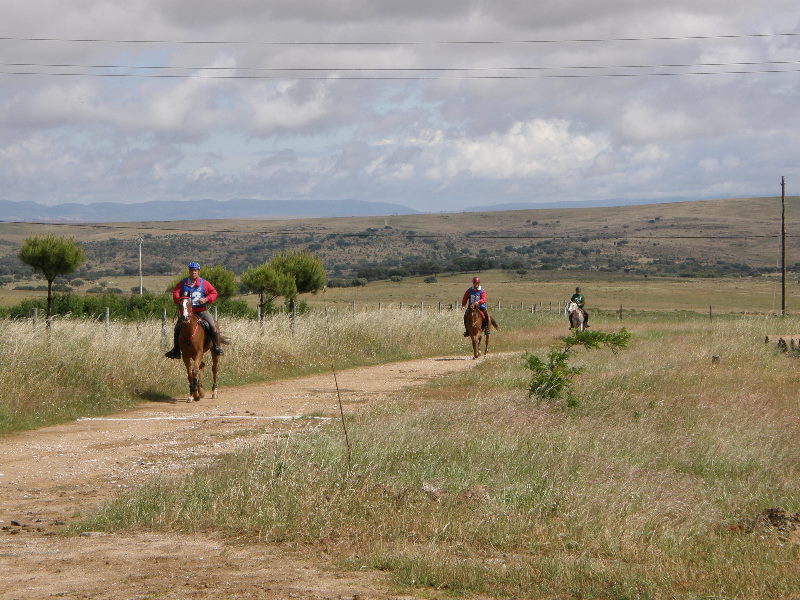 Caceres 082.jpg