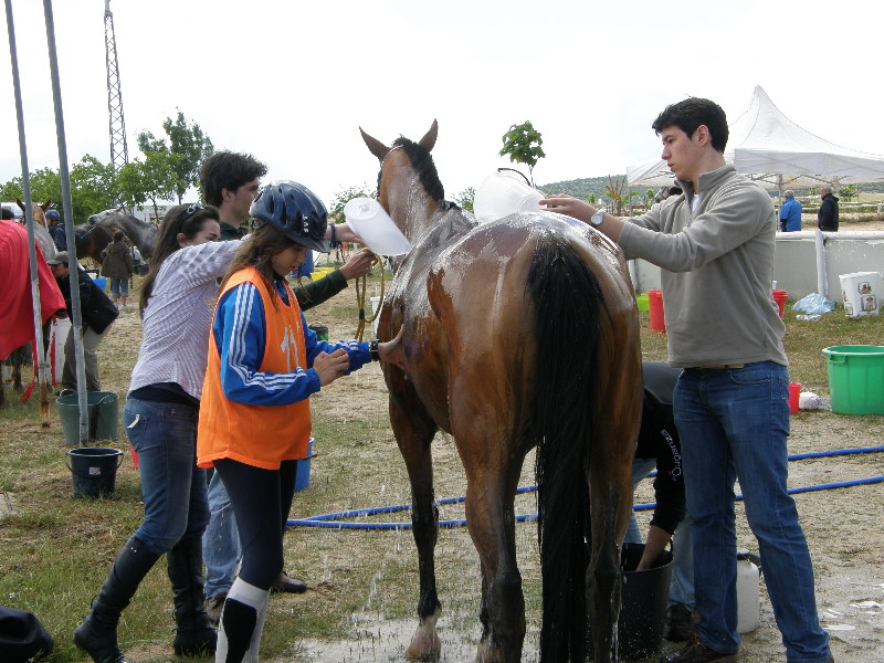 Caceres 089.jpg