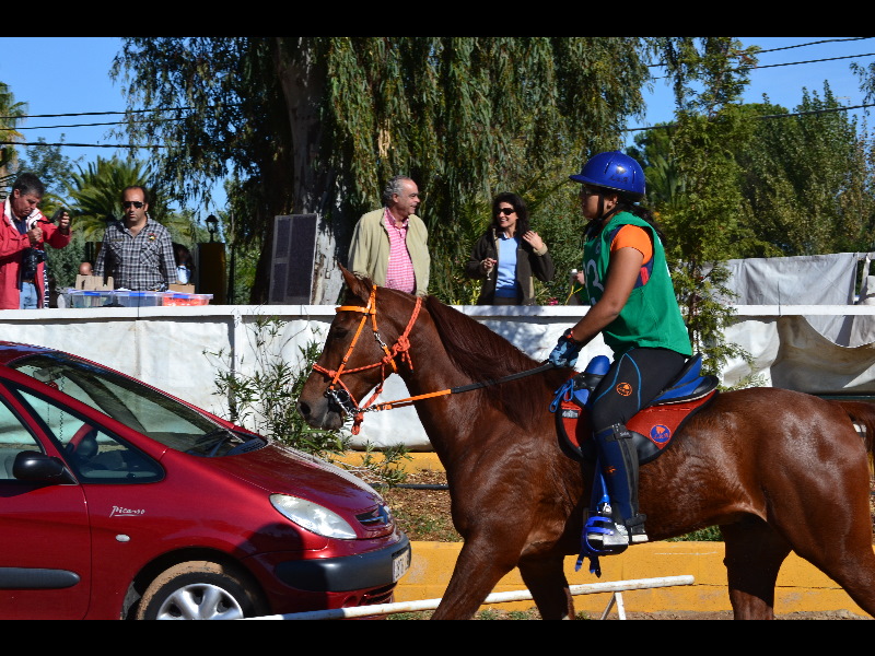 Raid El Corzo 46.jpg