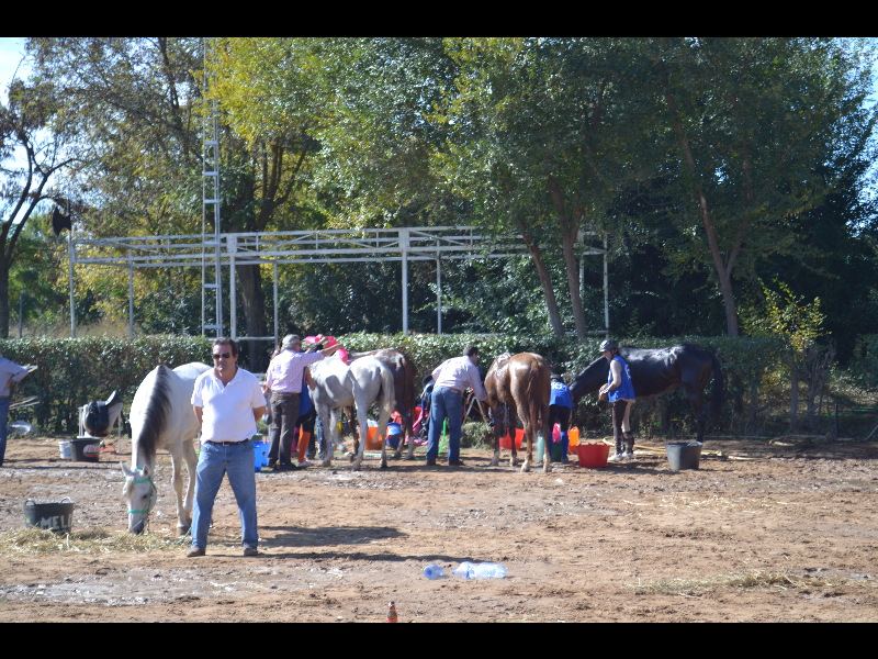 Raid El Corzo 85.jpg