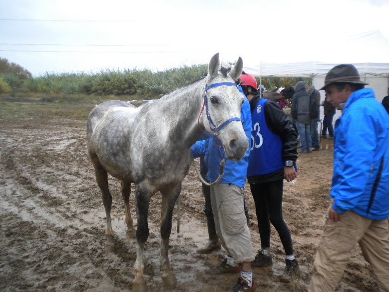 Raid Don Alvaro 169.jpg