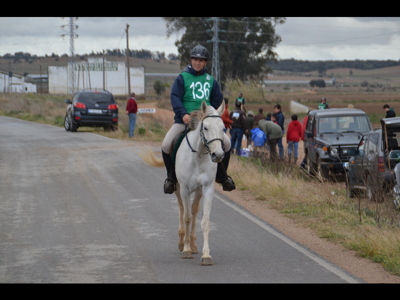 Talavera 032.jpg