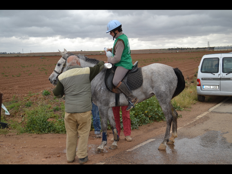 Talavera 035.jpg