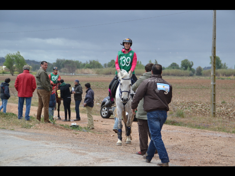 Talavera 045.jpg