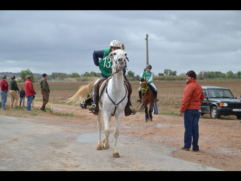 Talavera 052.jpg