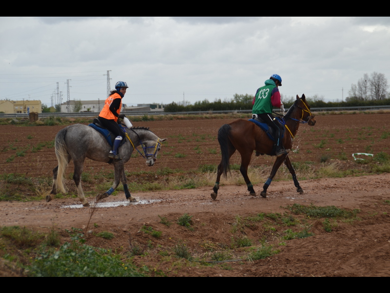 Talavera 055.jpg