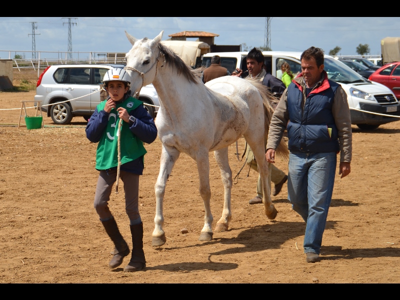 Talavera 082.jpg