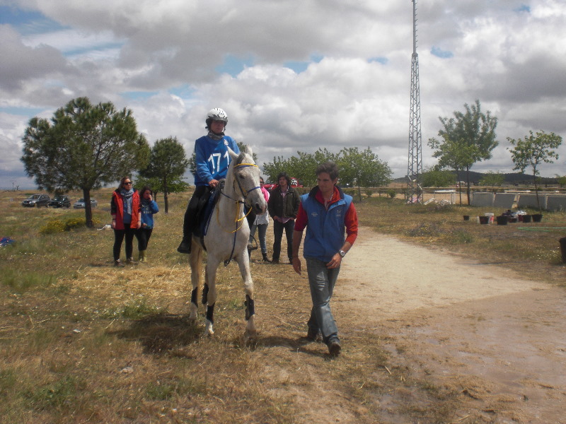 Caceres 061.jpg