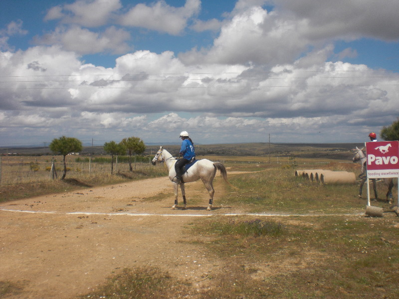 Caceres 062.jpg