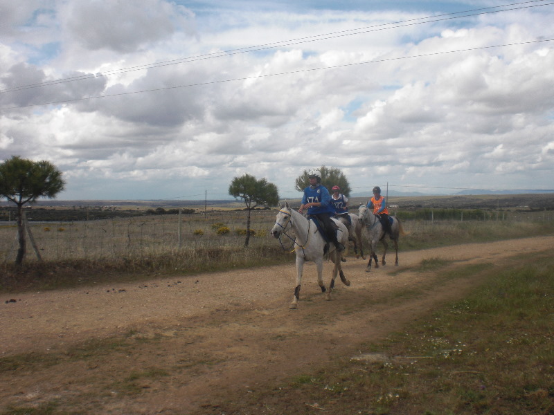 Caceres 074.jpg