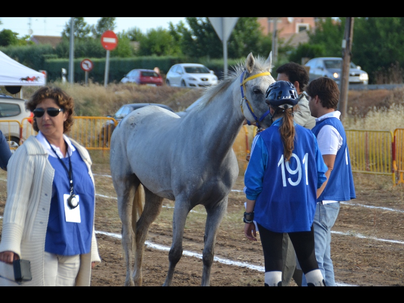 Badajoz 063.jpg