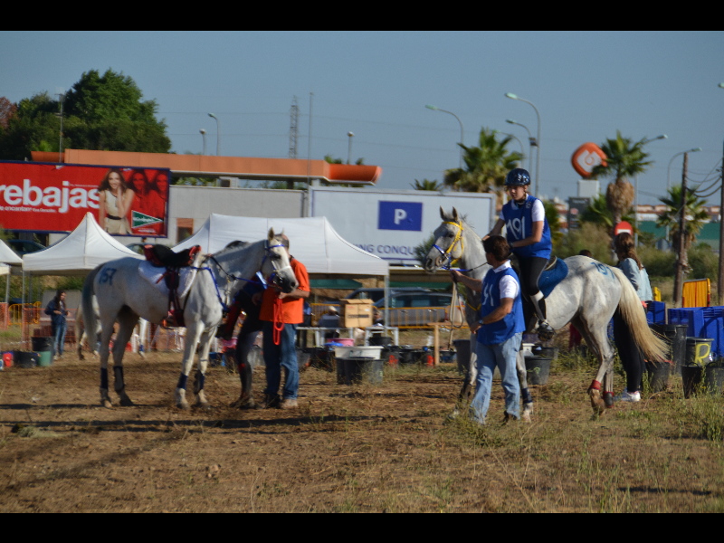 Badajoz 067.jpg