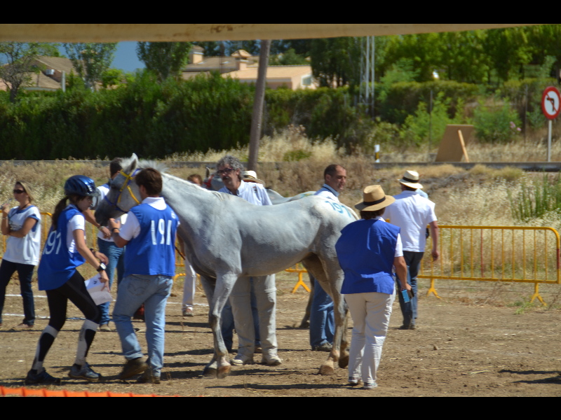 Badajoz 117.jpg