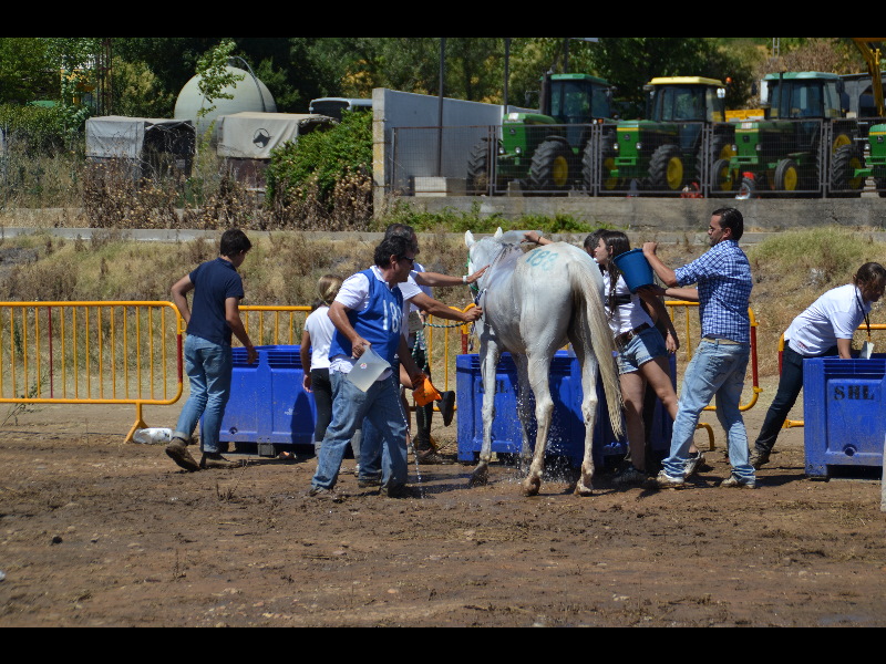 Badajoz 170.jpg