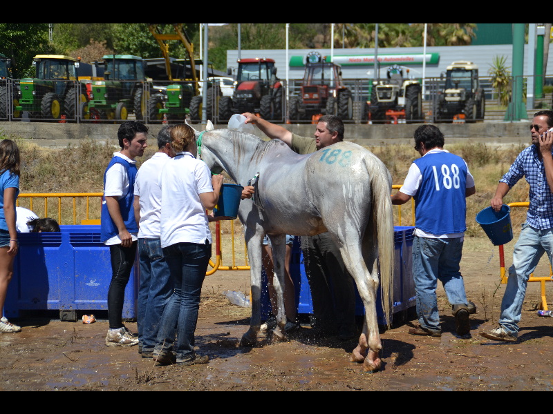 Badajoz 176.jpg