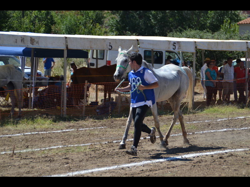 Badajoz 182.jpg