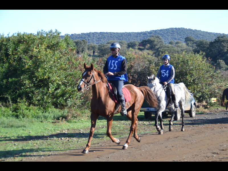 Nogales 043.jpg