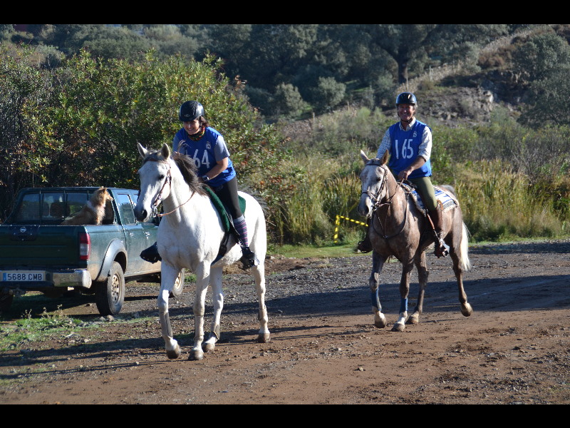 Nogales 060.jpg