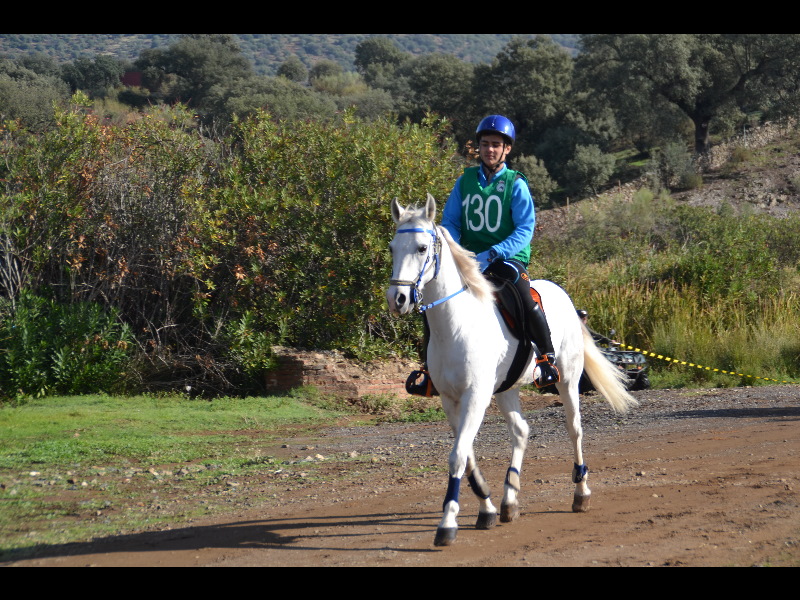 Nogales 087.jpg