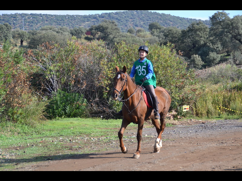 Nogales 095.jpg