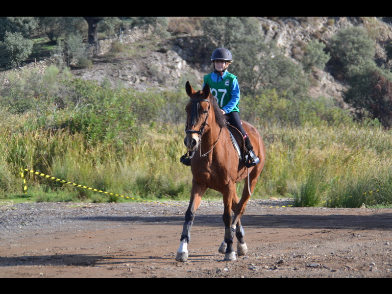 Nogales 098.jpg