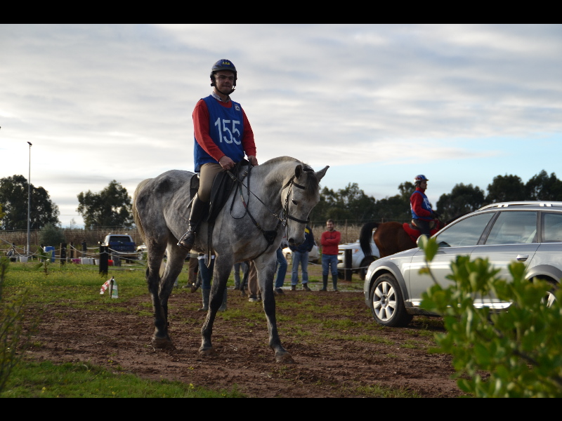 Talavera 021.jpg