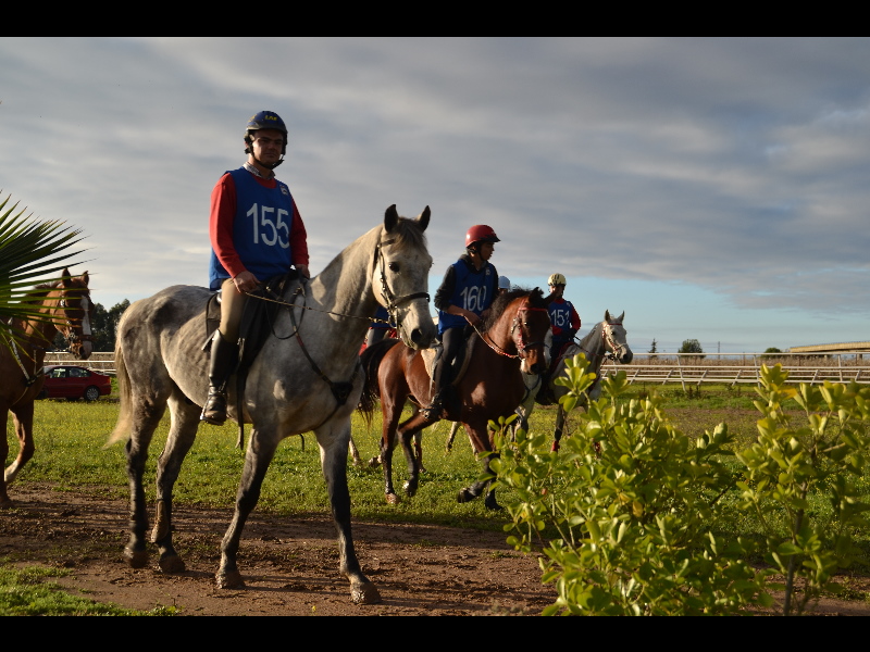 Talavera 037.jpg