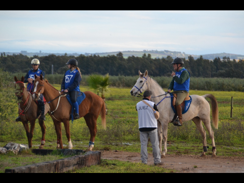 Talavera 042.jpg