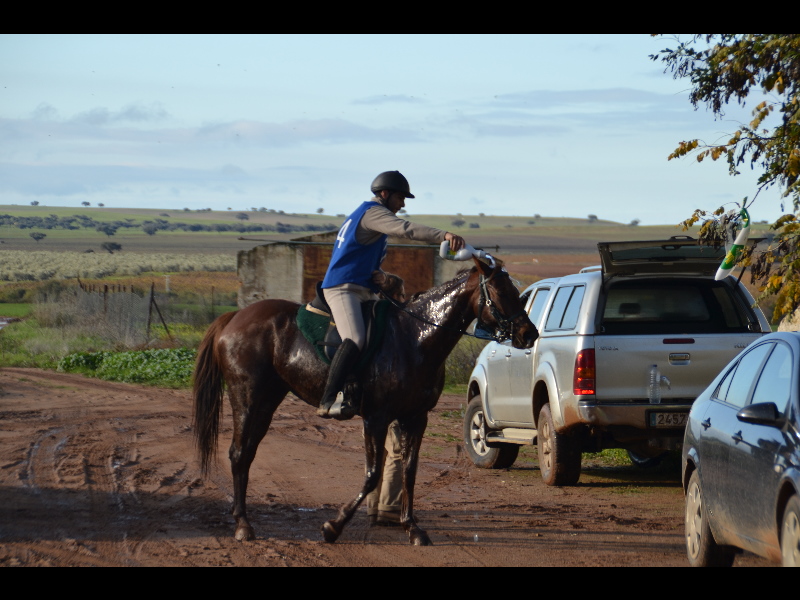 Talavera 051.jpg