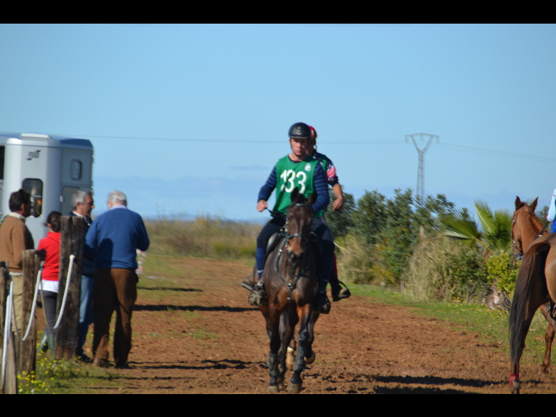 Talavera 088.jpg