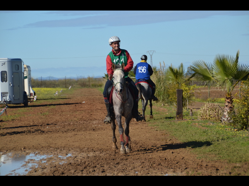 Talavera 095.jpg