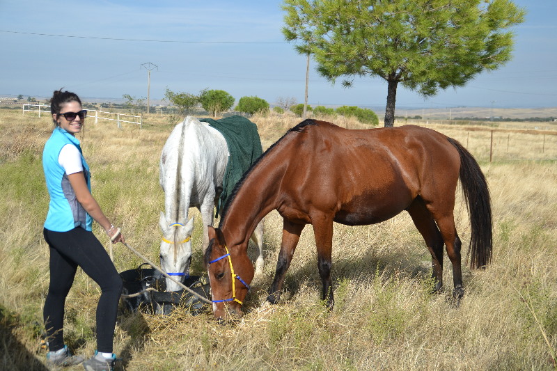 Caceres 040.jpg