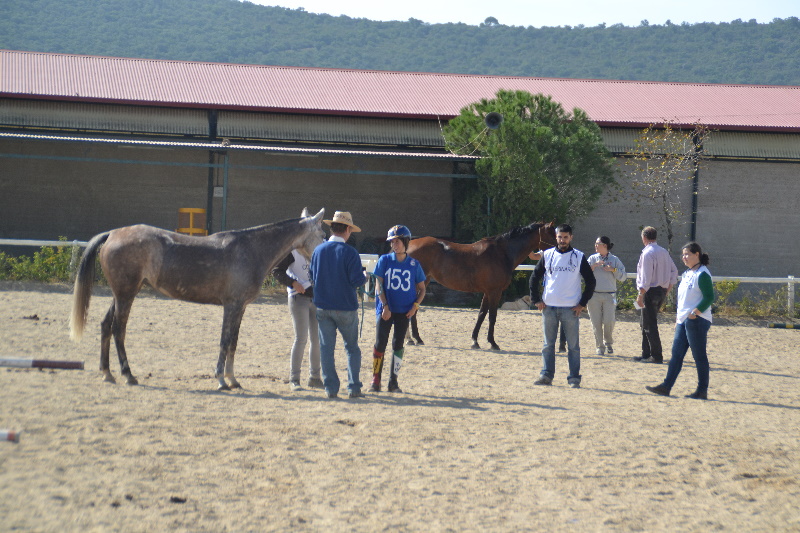 Caceres 042.jpg