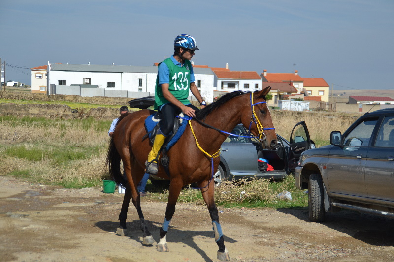 Caceres 068.jpg