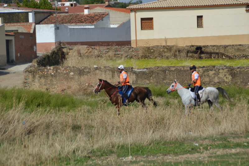 Caceres 070.jpg