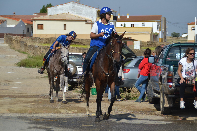 Caceres 084.jpg