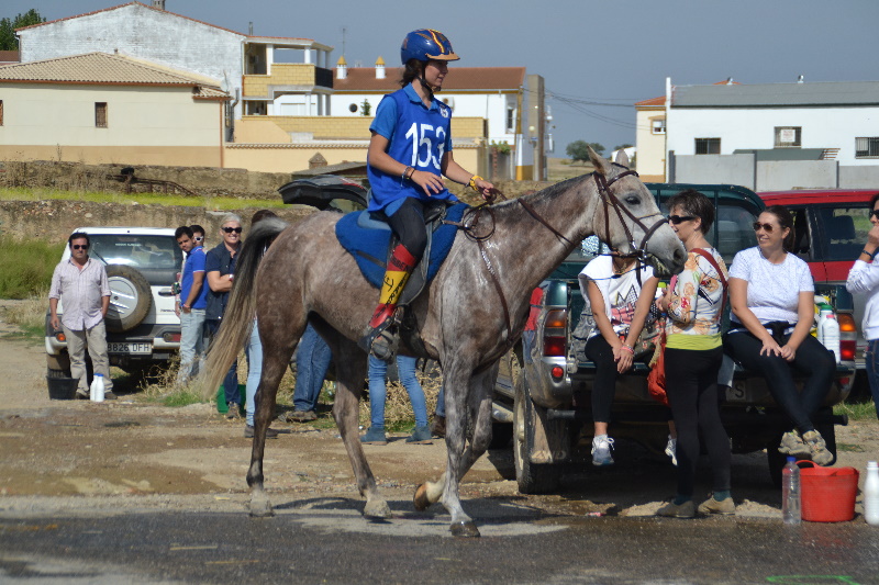 Caceres 085.jpg