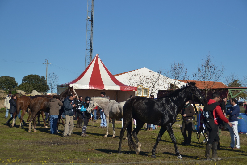 Santa Eulalia 039.jpg