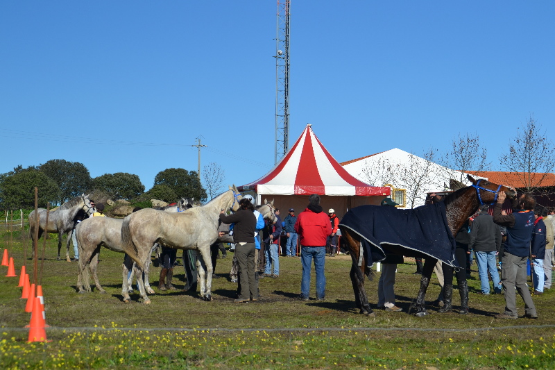 Santa Eulalia 120.jpg