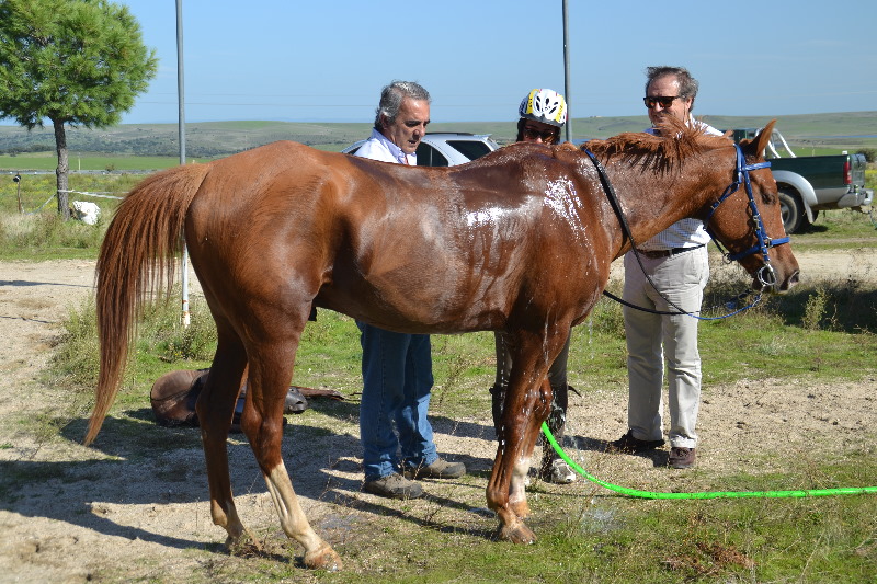 Caceres 058.jpg