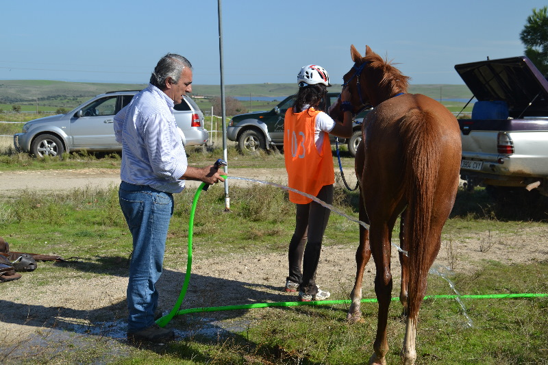 Caceres 060.jpg